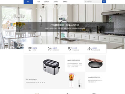 廚衛(wèi)電器家電基礎網站建設-案例